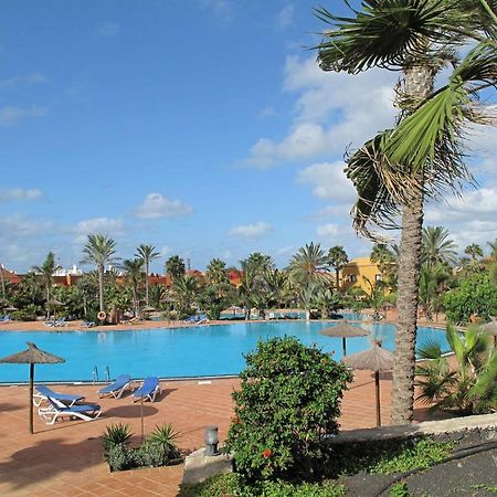 Apartment Gardenia, Oasis Tamarindo Corralejo Zewnętrze zdjęcie