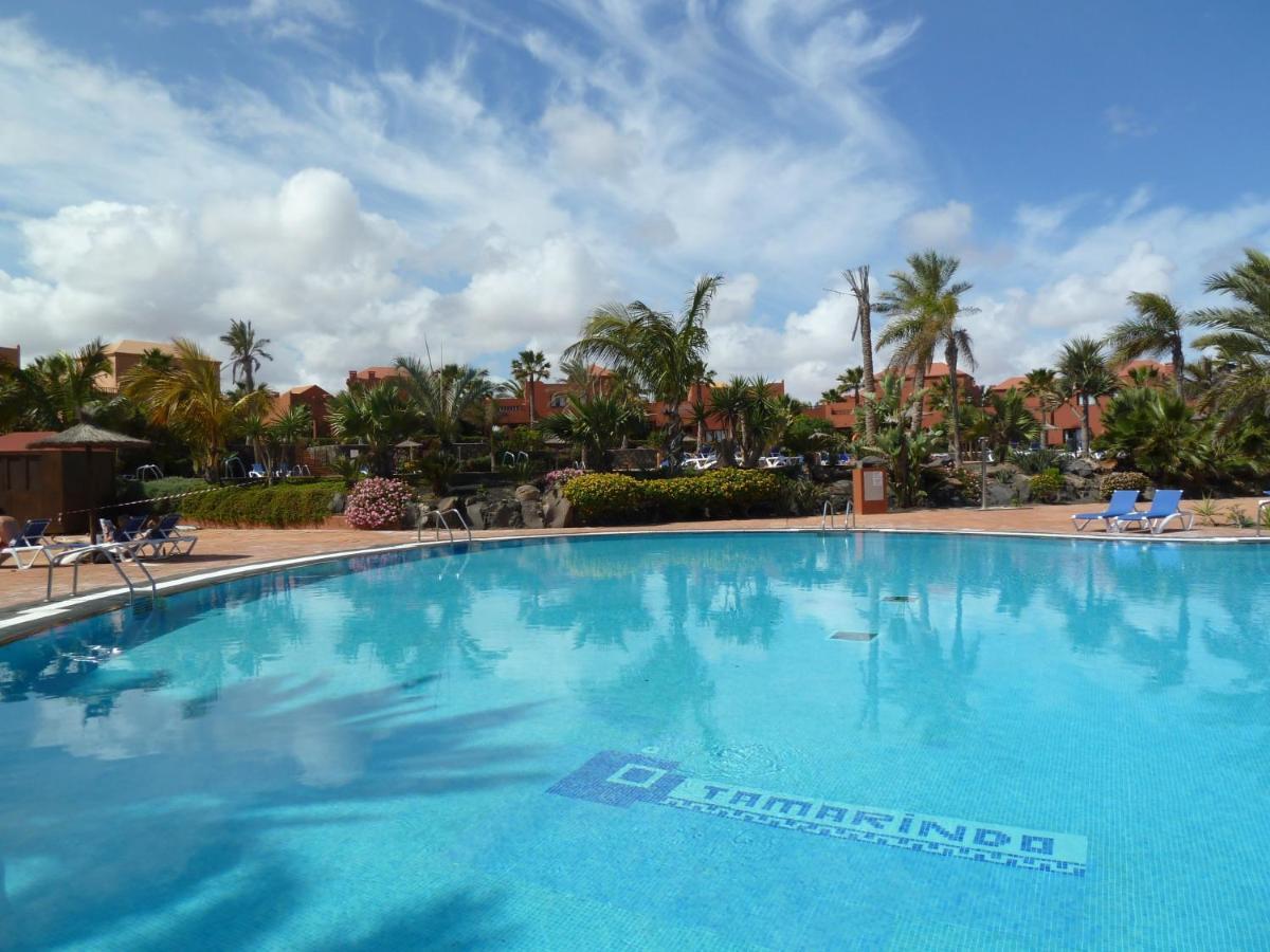 Apartment Gardenia, Oasis Tamarindo Corralejo Zewnętrze zdjęcie