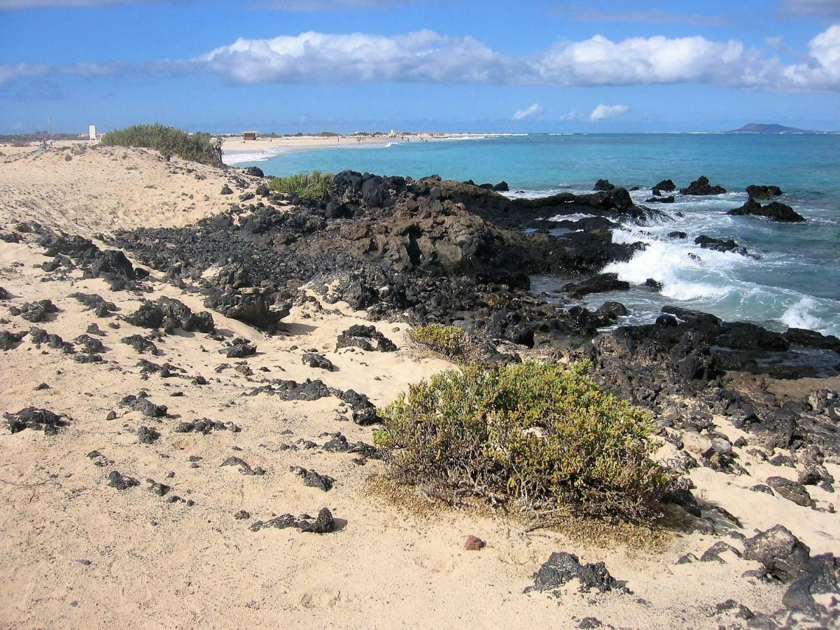 Apartment Gardenia, Oasis Tamarindo Corralejo Zewnętrze zdjęcie
